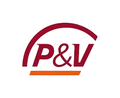 P_V_logo-removebg-preview